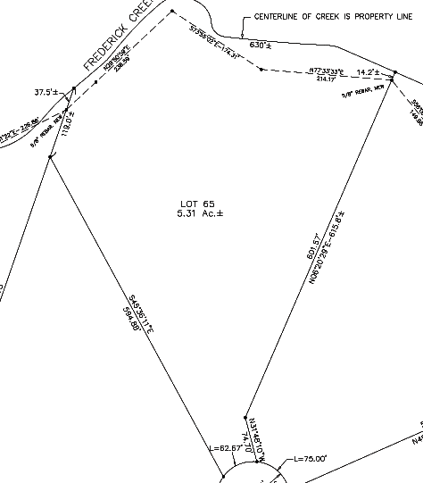 Lot 65